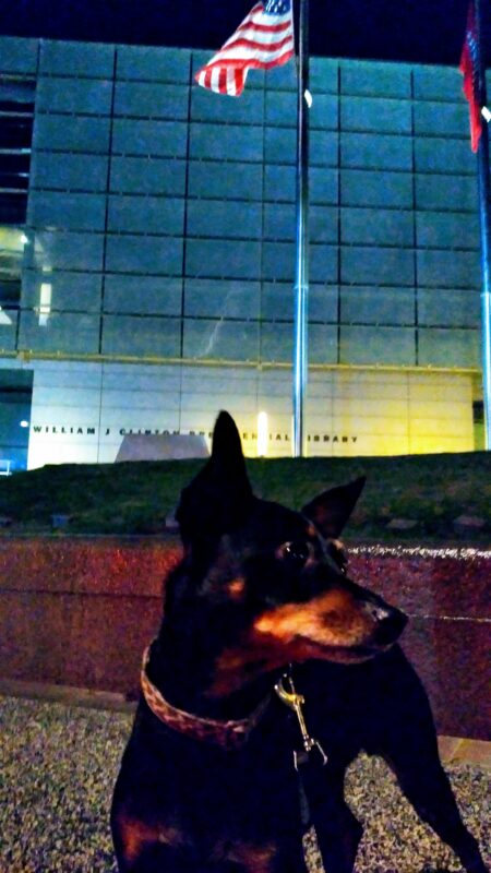 Clinton Library
